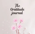 The Gratitude Journal